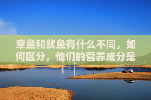 章鱼和鱿鱼有什么不同，如何区分，他们的营养成分是否有差别