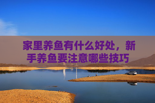  家里养鱼有什么好处，新手养鱼要注意哪些技巧