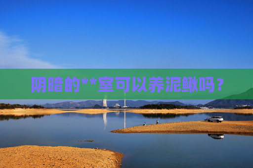 阴暗的**室可以养泥鳅吗？