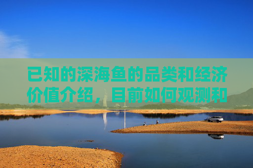 已知的深海鱼的品类和经济价值介绍，目前如何观测和捕捞？