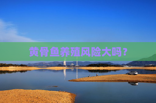 黄骨鱼养殖风险大吗？