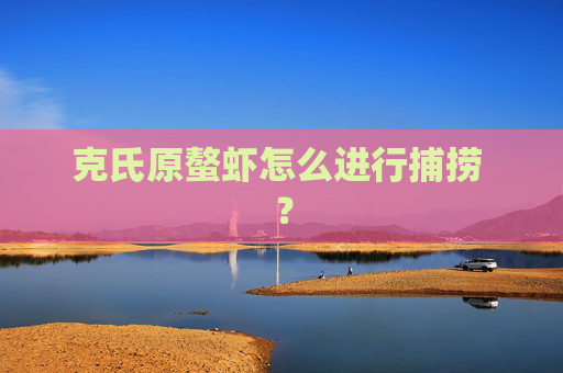 克氏原螯虾怎么进行捕捞 ？
