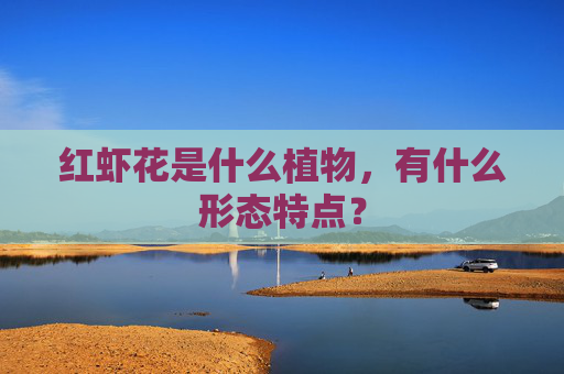 红虾花是什么植物，有什么形态特点？
