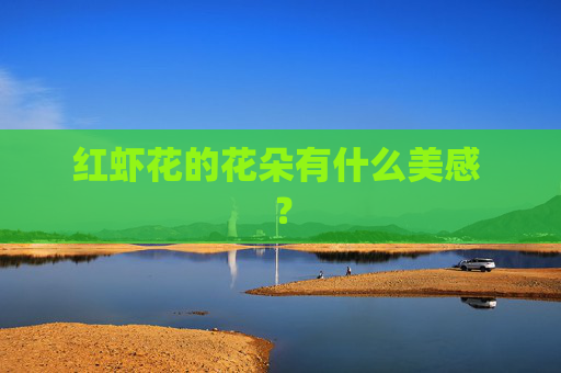 红虾花的花朵有什么美感 ?