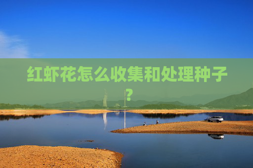 红虾花怎么收集和处理种子 ？