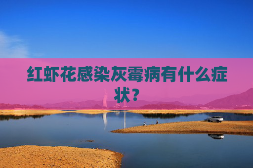 红虾花感染灰霉病有什么症状？