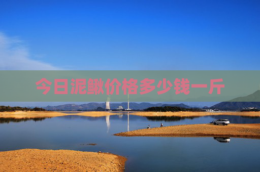 今日泥鳅价格多少钱一斤