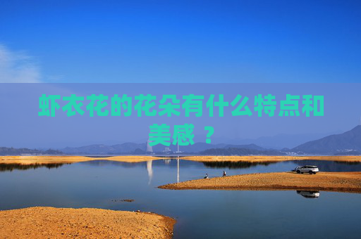 虾衣花的花朵有什么特点和美感 ？