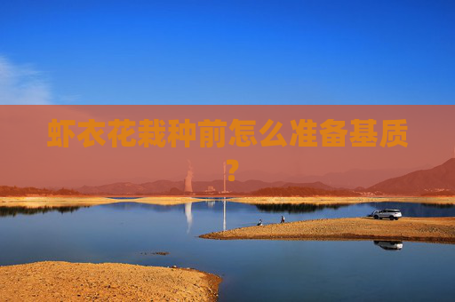 虾衣花栽种前怎么准备基质 ？
