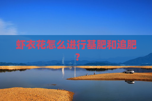 虾衣花怎么进行基肥和追肥 ？
