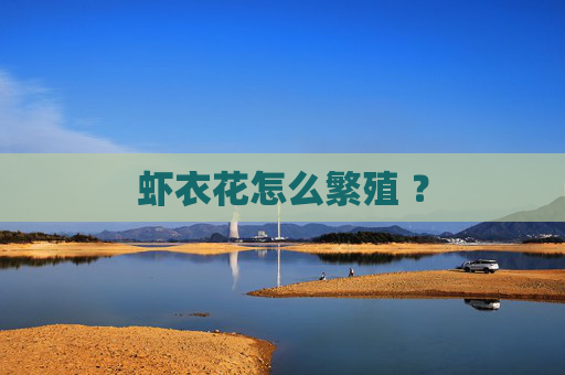 虾衣花怎么繁殖 ?