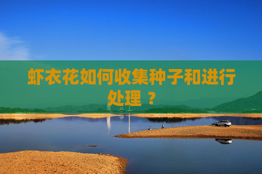虾衣花如何收集种子和进行处理 ?