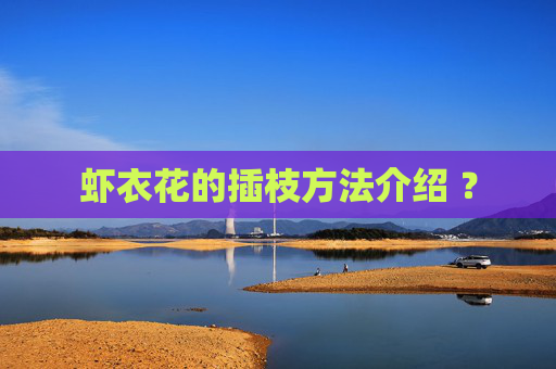 虾衣花的插枝方法介绍 ？