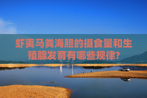 虾夷马粪海胆的摄食量和生殖腺发育有哪些规律?