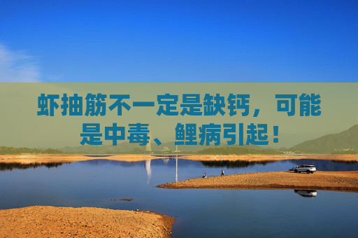 虾抽筋不一定是缺钙，可能是中毒、鲤病引起！