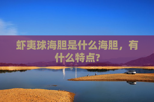 虾夷球海胆是什么海胆，有什么特点?