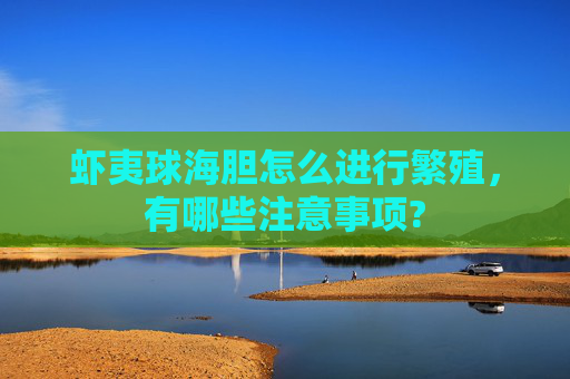 虾夷球海胆怎么进行繁殖，有哪些注意事项?