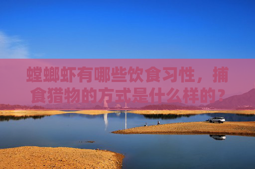 螳螂虾有哪些饮食习性，捕食猎物的方式是什么样的？