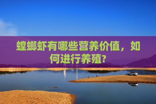 螳螂虾有哪些营养价值，如何进行养殖?