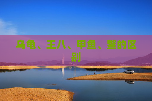 乌龟、王八、甲鱼、鳖的区别
