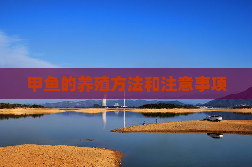 甲鱼的养殖方法和注意事项