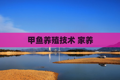 甲鱼养殖技术 家养