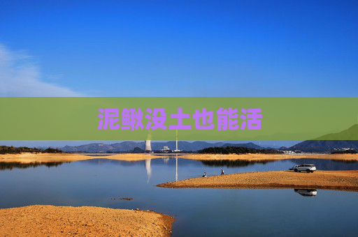泥鳅没土也能活