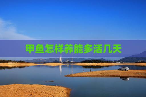 甲鱼怎样养能多活几天