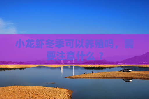 小龙虾冬季可以养殖吗，需要注意什么 ？