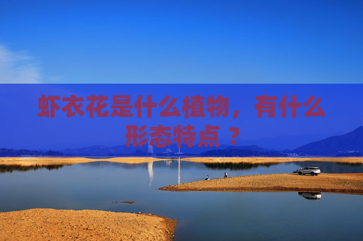 虾衣花是什么植物，有什么形态特点 ？