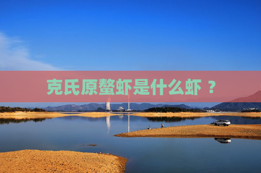 克氏原螯虾是什么虾 ？