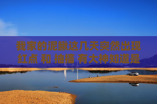 我家的泥鳅这几天突然出现红点 和 抽搐 有大神知道是怎么了？