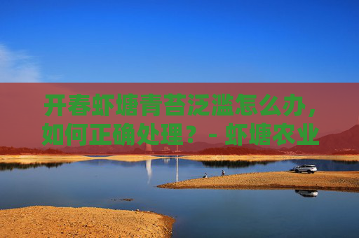 开春虾塘青苔泛滥怎么办，如何正确处理？- 虾塘农业维护技巧