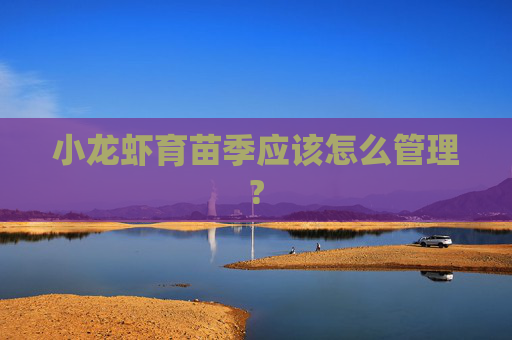 小龙虾育苗季应该怎么管理?