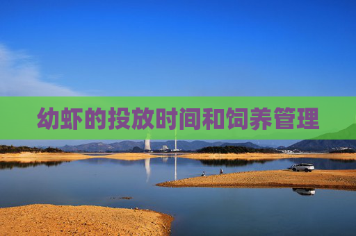 幼虾的投放时间和饲养管理