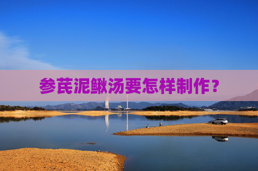 参芪泥鳅汤要怎样制作？