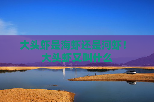 大头虾是海虾还是河虾！ 大头虾又叫什么