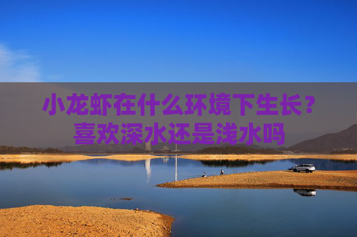 小龙虾在什么环境下生长？喜欢深水还是浅水吗