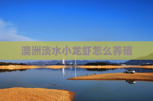 澳洲淡水小龙虾怎么养殖