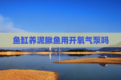 鱼缸养泥鳅鱼用开氧气泵吗