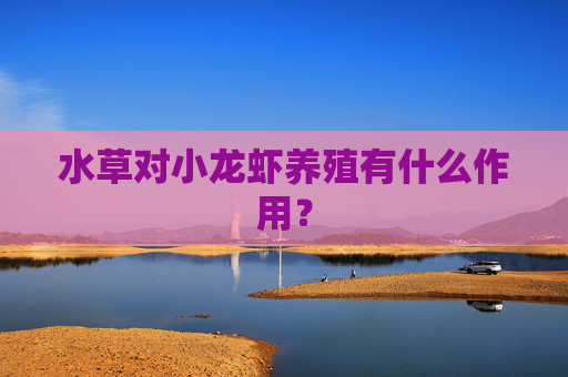 水草对小龙虾养殖有什么作用？