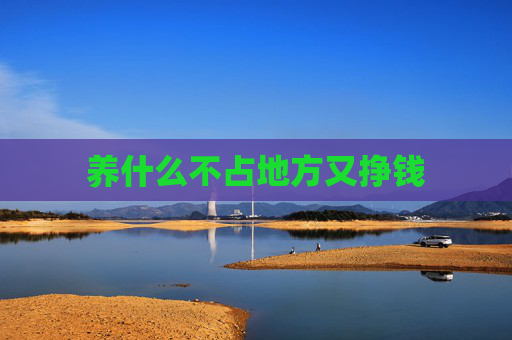 养什么不占地方又挣钱
