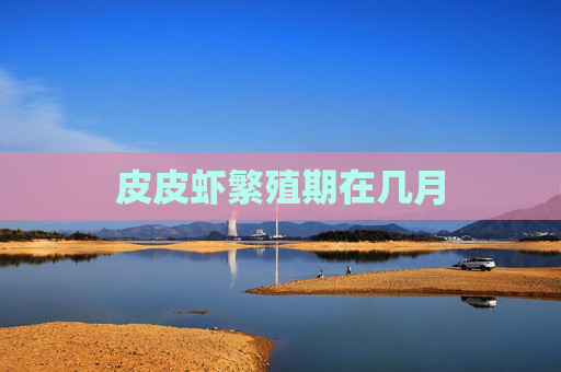 皮皮虾繁殖期在几月
