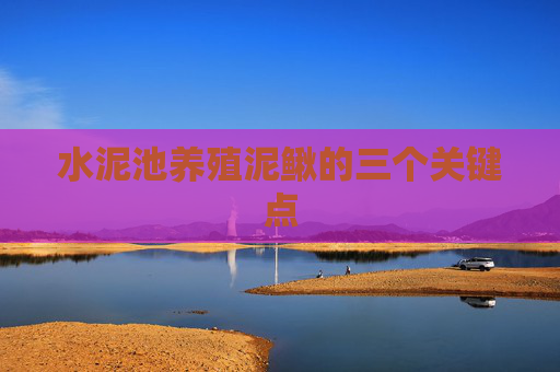 水泥池养殖泥鳅的三个关键点