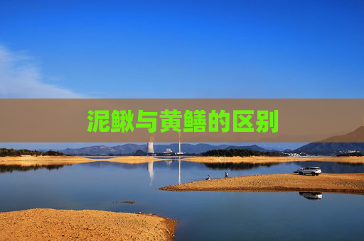 泥鳅与黄鳝的区别