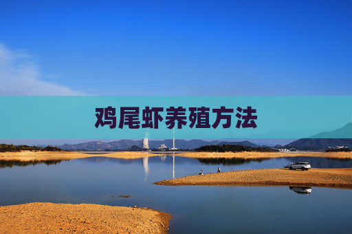 鸡尾虾养殖方法
