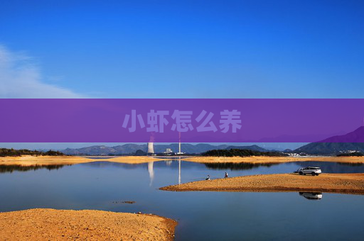 小虾怎么养