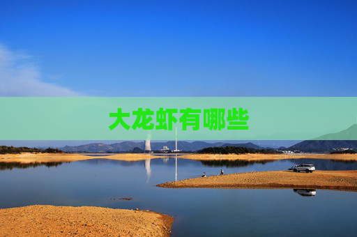 大龙虾有哪些