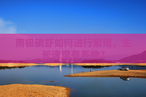 南极磷虾如何进行繁殖，生长速度有多快？