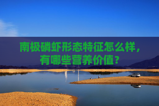南极磷虾形态特征怎么样，有哪些营养价值？